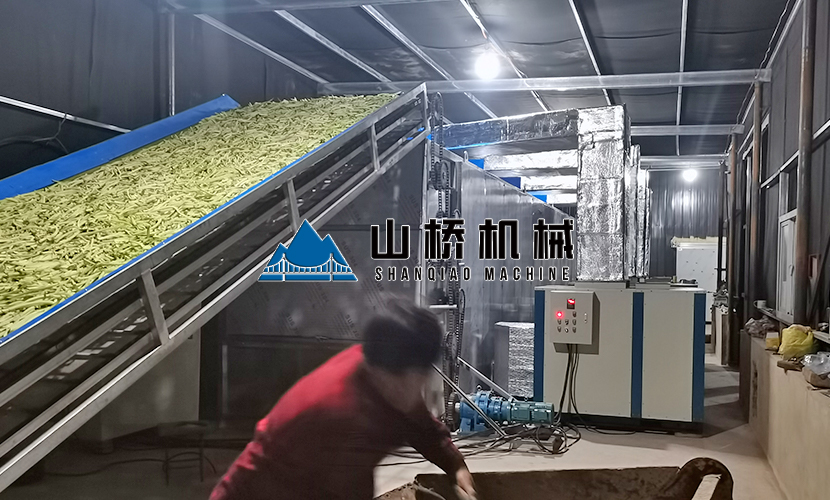 網(wǎng)帶式蘿卜烘干機(jī)優(yōu)勢(shì)有什么？(圖1)