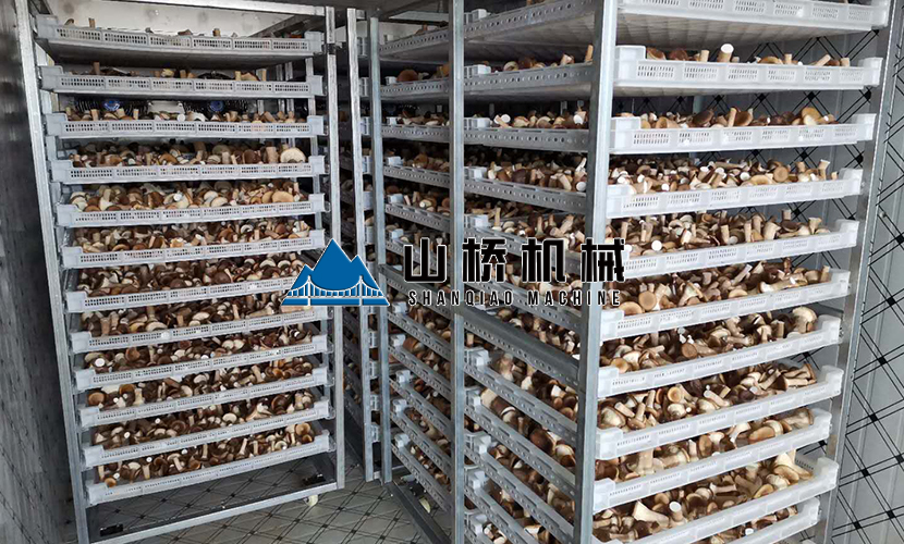 網(wǎng)帶式食用菌烘干機(jī)多少錢(qián)一臺(tái)？(圖1)