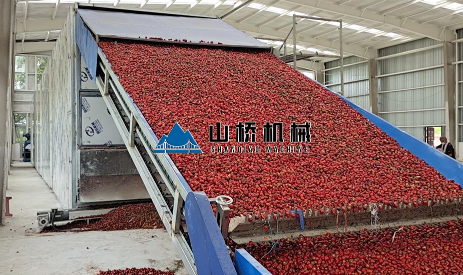 大型網(wǎng)帶式辣椒烘干機(jī)(圖1)