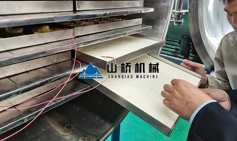 牛奶真空冷凍干燥機(jī)(圖2)
