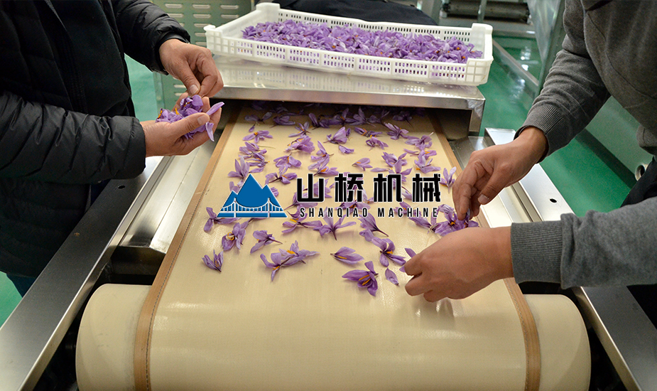 藏紅花微波烘干機(jī)(圖1)