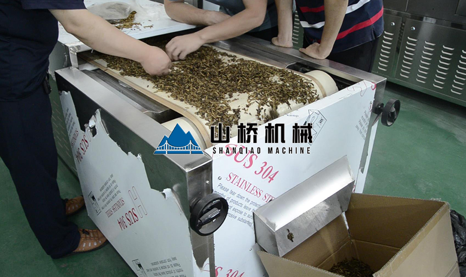 黃粉蟲微波殺菌機(jī)(圖1)