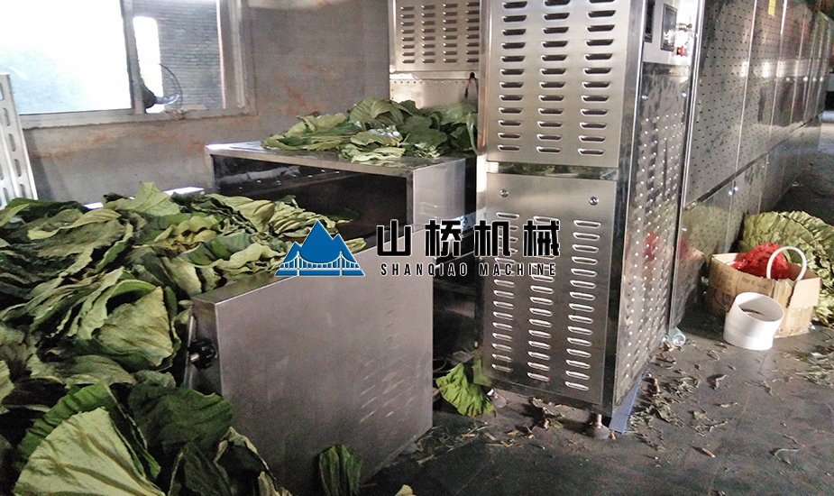 荷葉微波烘干機(圖1)