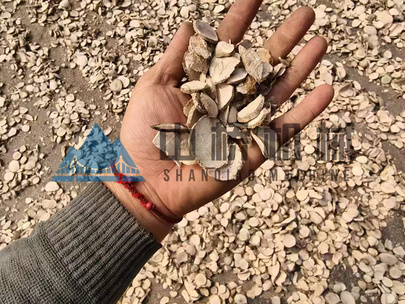 什么是中藥材烘干機(jī)，用熱泵烘干中藥材有什么好處！(圖1)